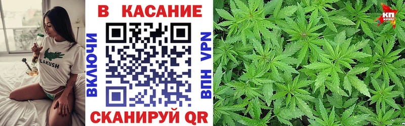 Купить наркотики Мурино Кокаин  Alpha-PVP  Гашиш  Метадон  Меф мяу мяу 