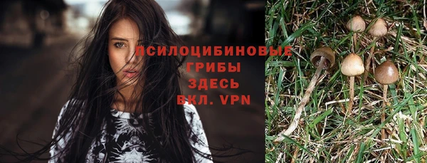 мет Липки
