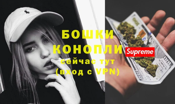 стаф Лихославль