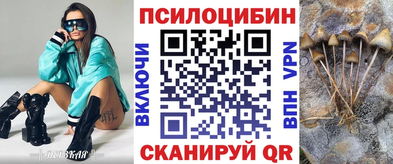 сайты даркнета как зайти  кракен зеркало  Мурино  Псилоцибиновые грибы Magic Shrooms 