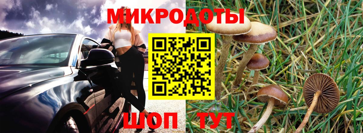 Псилоцибиновые грибы мухоморы  Вход с VPN  дарнет шоп  Мурино 