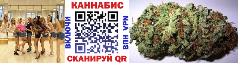 купить  сайты  Мурино  Канабис индика 